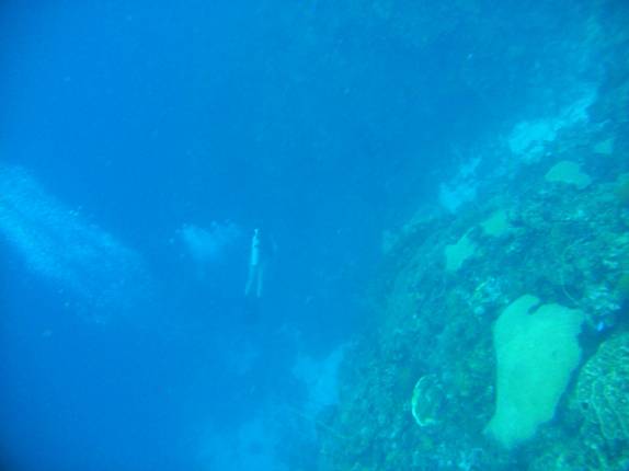 A Ana vai a 30 metros de profundidade em Karpata, no norte de Bonaire